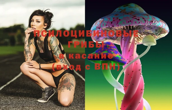 PSILOCYBIN Арсеньев