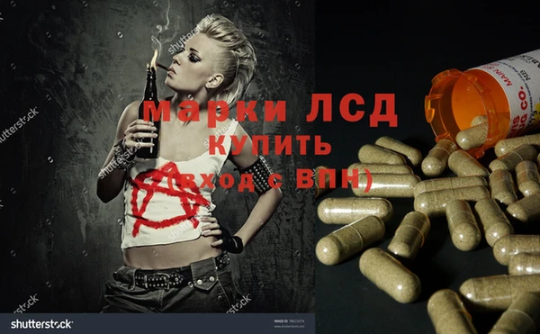 индика Алексеевка