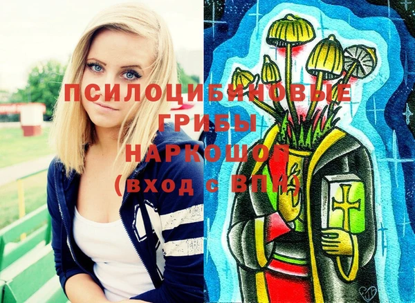 PSILOCYBIN Арсеньев