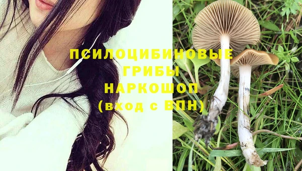 соль ск Сафоново